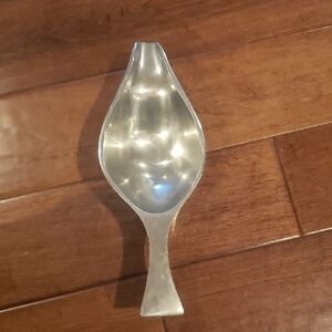 Elegant Silver Serving Spoon